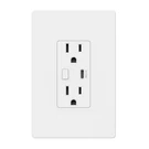 Bn-link Smart In-wall Wi-fi Outlet With Usb Compatible Alexa And Google. Fixed Price $16.99.
