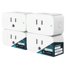 Matter Plug, Work With Apple Home, Siri, Alexa, Google, Smartthings,. Fixed Price $40.99.